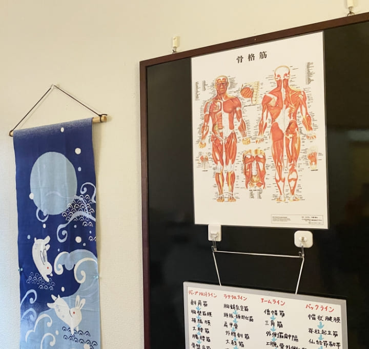 人体の骨格図などが貼られたブラックボードなどの内装の写真