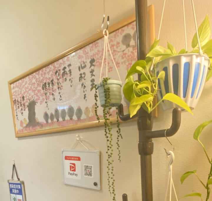 お店の入り口の内装（植物や壁に掛けられたイラストの写真）